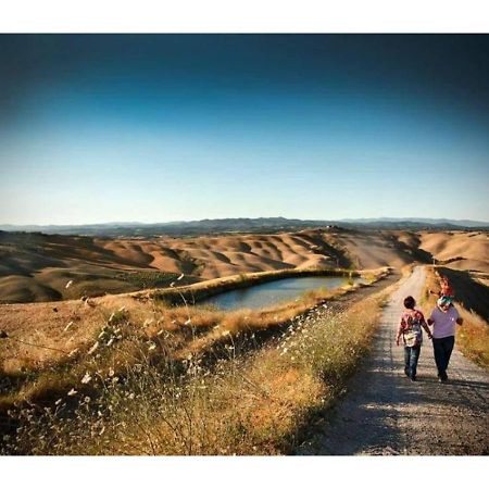 Agriturismo Le Crete - Appartamenti Asciano Exteriér fotografie