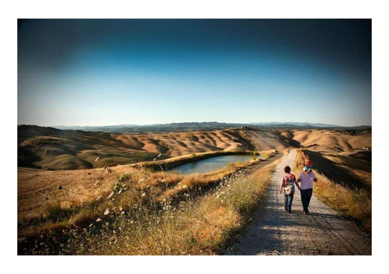 Agriturismo Le Crete - Appartamenti Asciano Exteriér fotografie