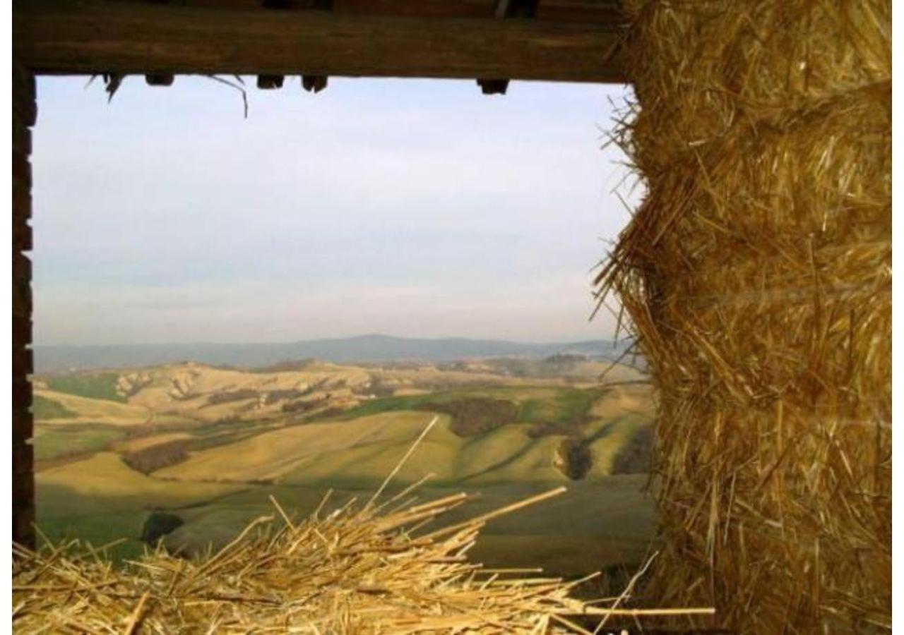 Agriturismo Le Crete - Appartamenti Asciano Exteriér fotografie