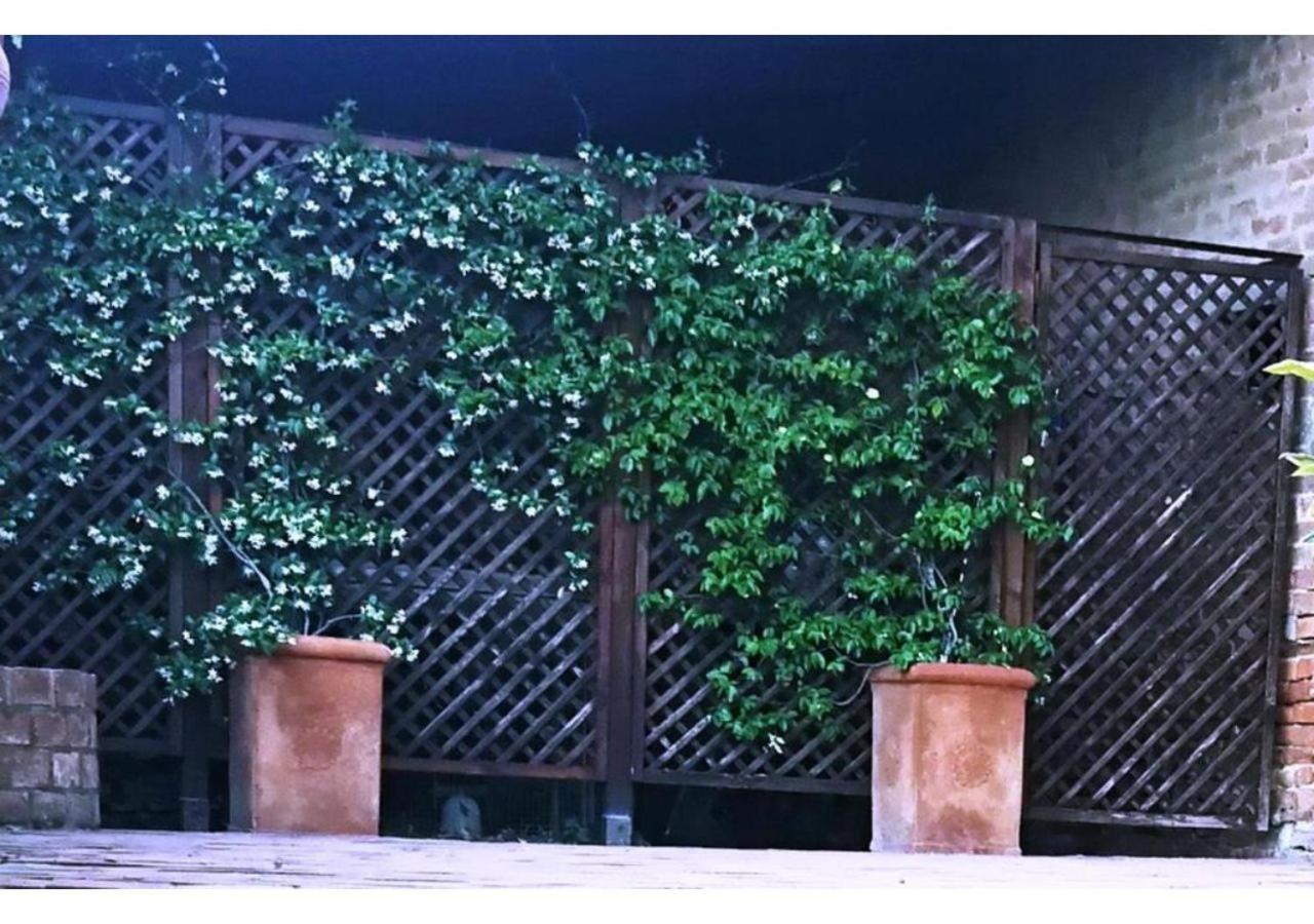 Agriturismo Le Crete - Appartamenti Asciano Exteriér fotografie