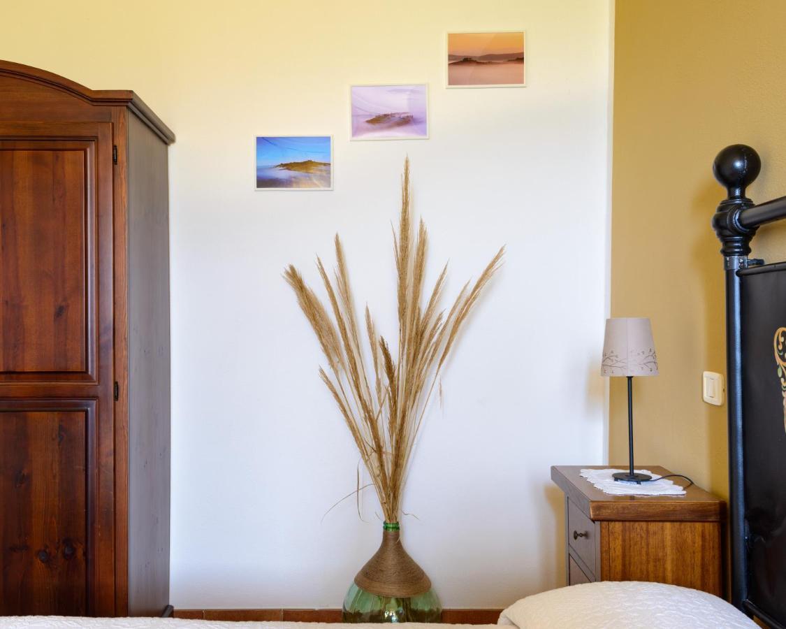 Agriturismo Le Crete - Appartamenti Asciano Exteriér fotografie