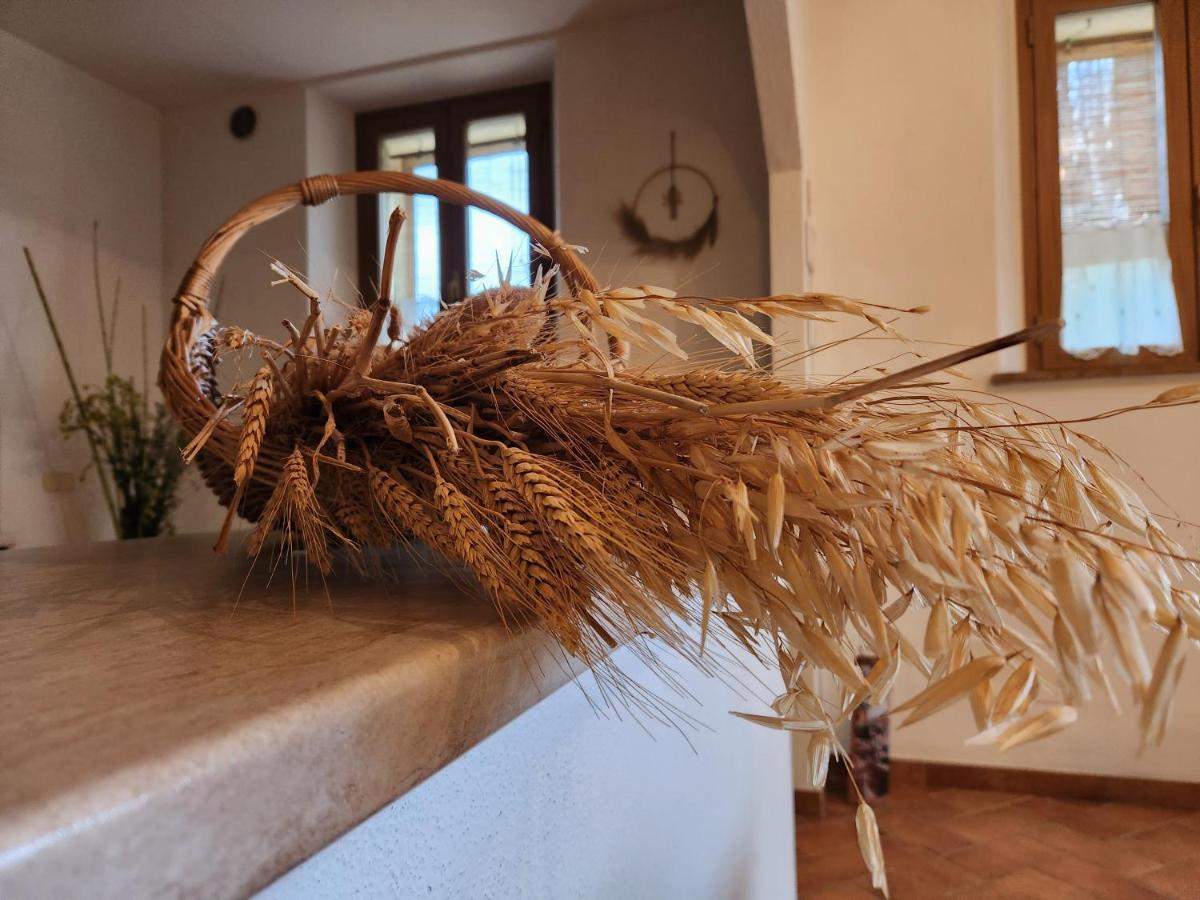 Agriturismo Le Crete - Appartamenti Asciano Exteriér fotografie