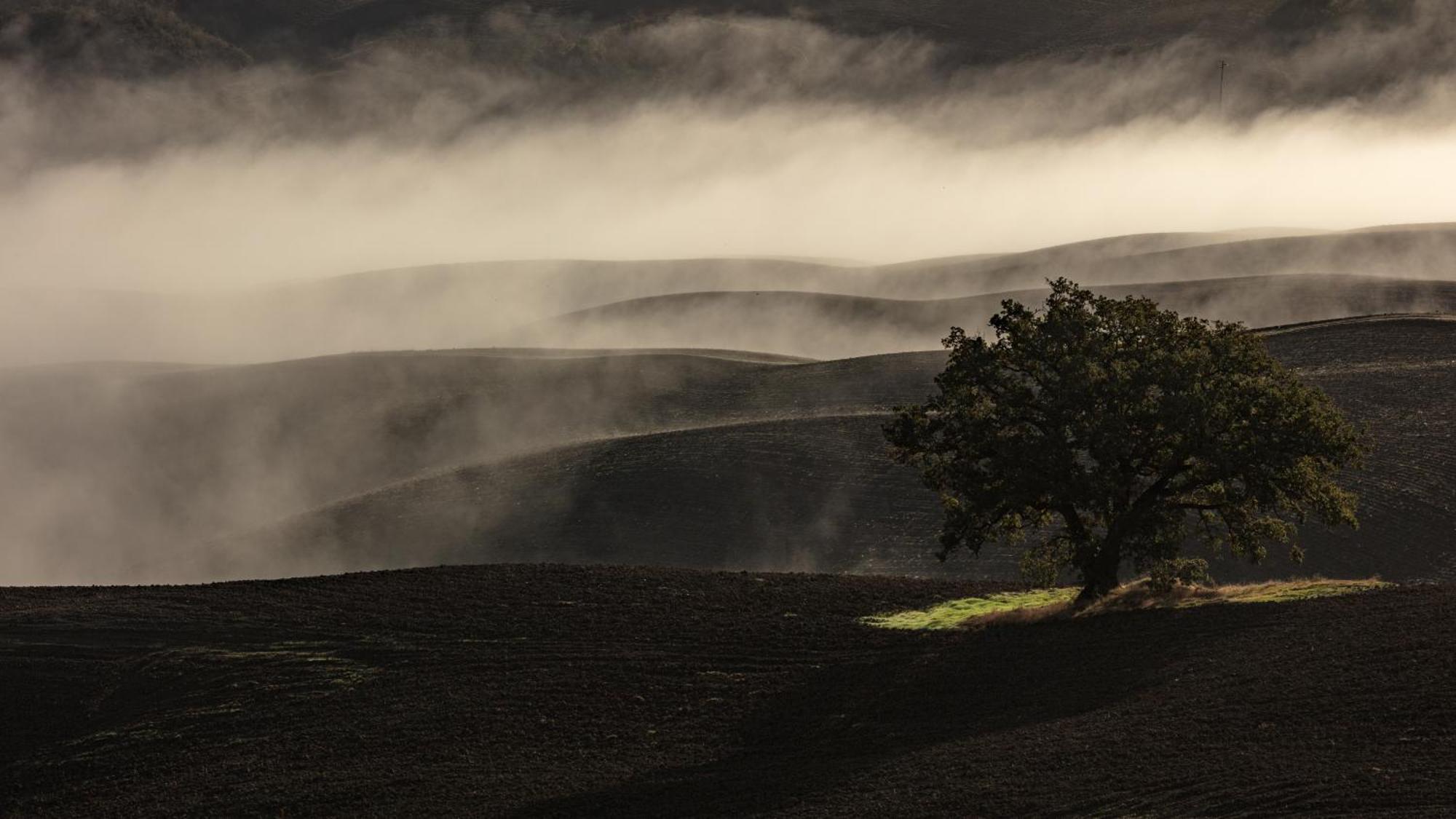 Agriturismo Le Crete - Appartamenti Asciano Exteriér fotografie