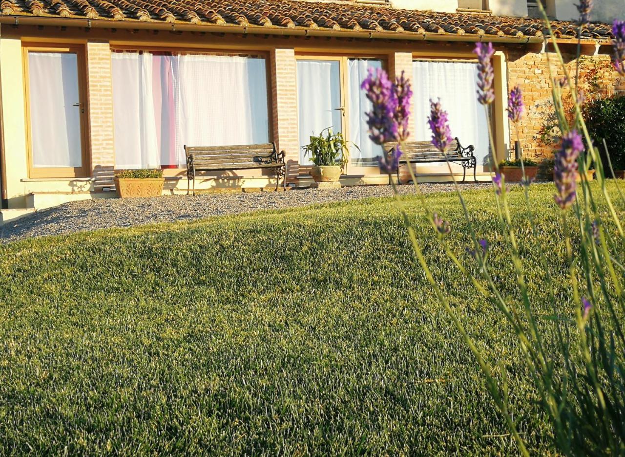 Agriturismo Le Crete - Appartamenti Asciano Exteriér fotografie